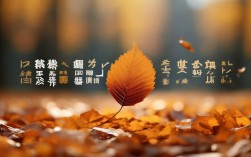 成语‘一叶知秋’如何揭示季节变化的秘密？