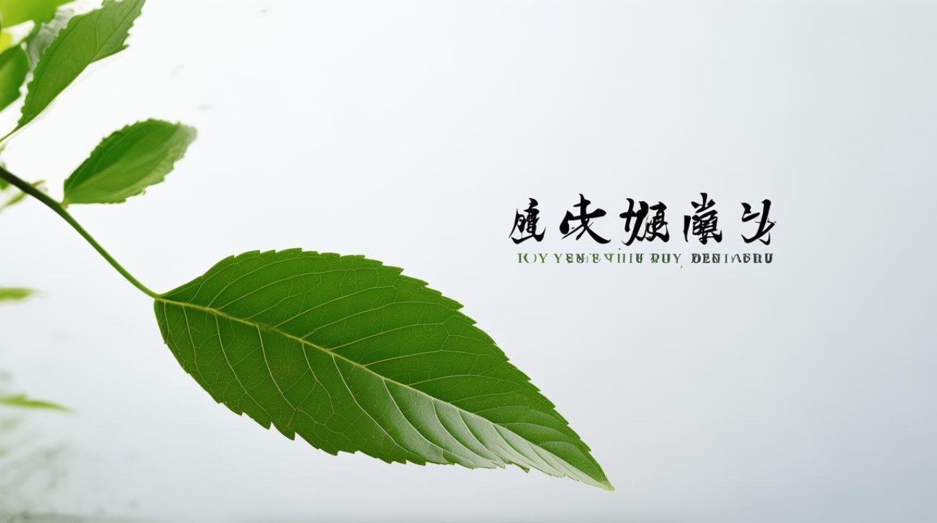 成语‘一叶什么’？揭秘这个常用成语的完整表达-图3