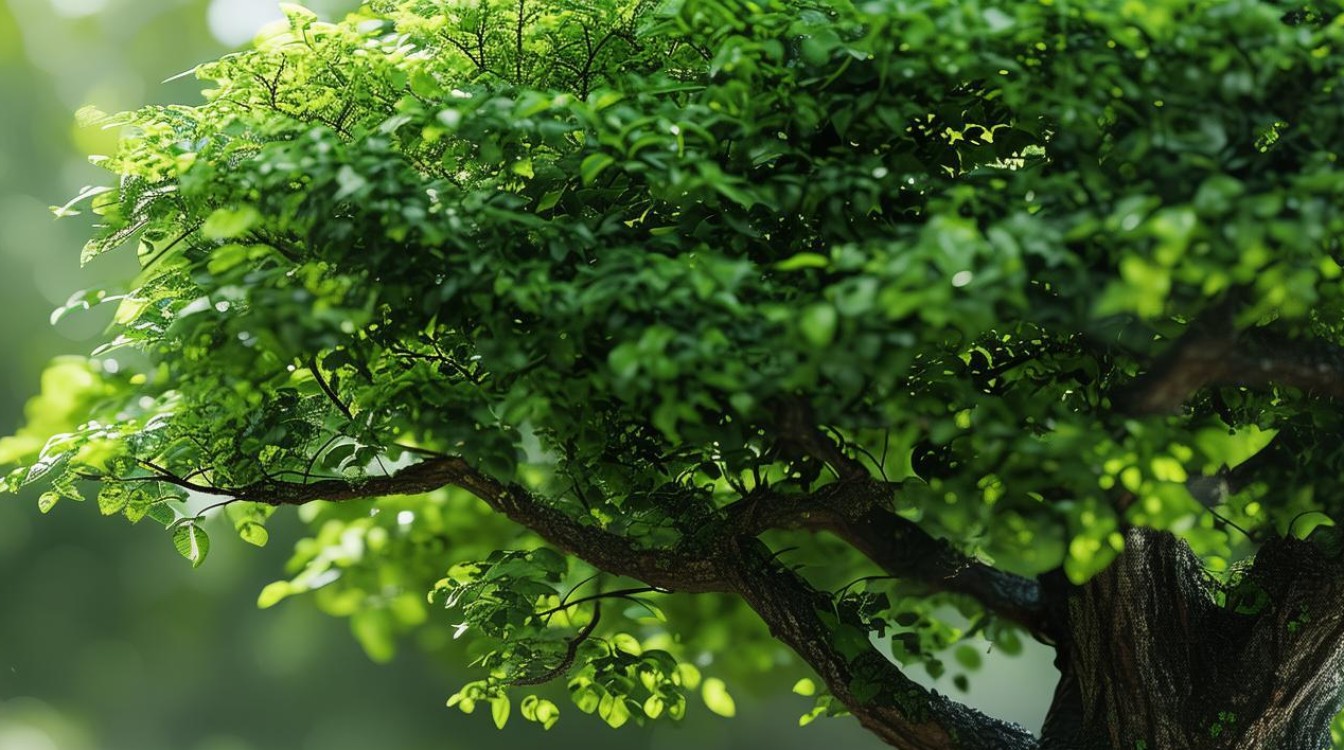 叶好成语为何被誉为中华语言花园的常青树？-图4